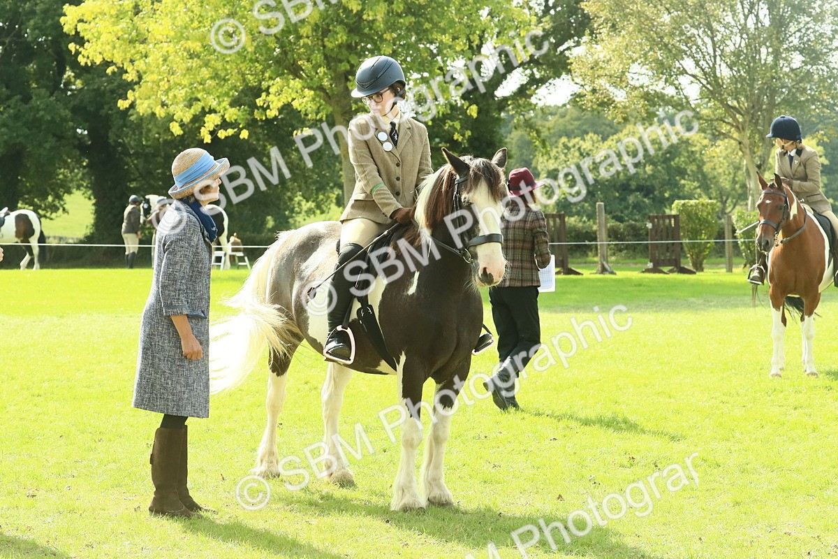 SBM_67515 - S56 - Coloured Pony Ridden