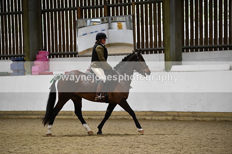 WJ5_8374 - Class 14 Novice Ridden/Rider