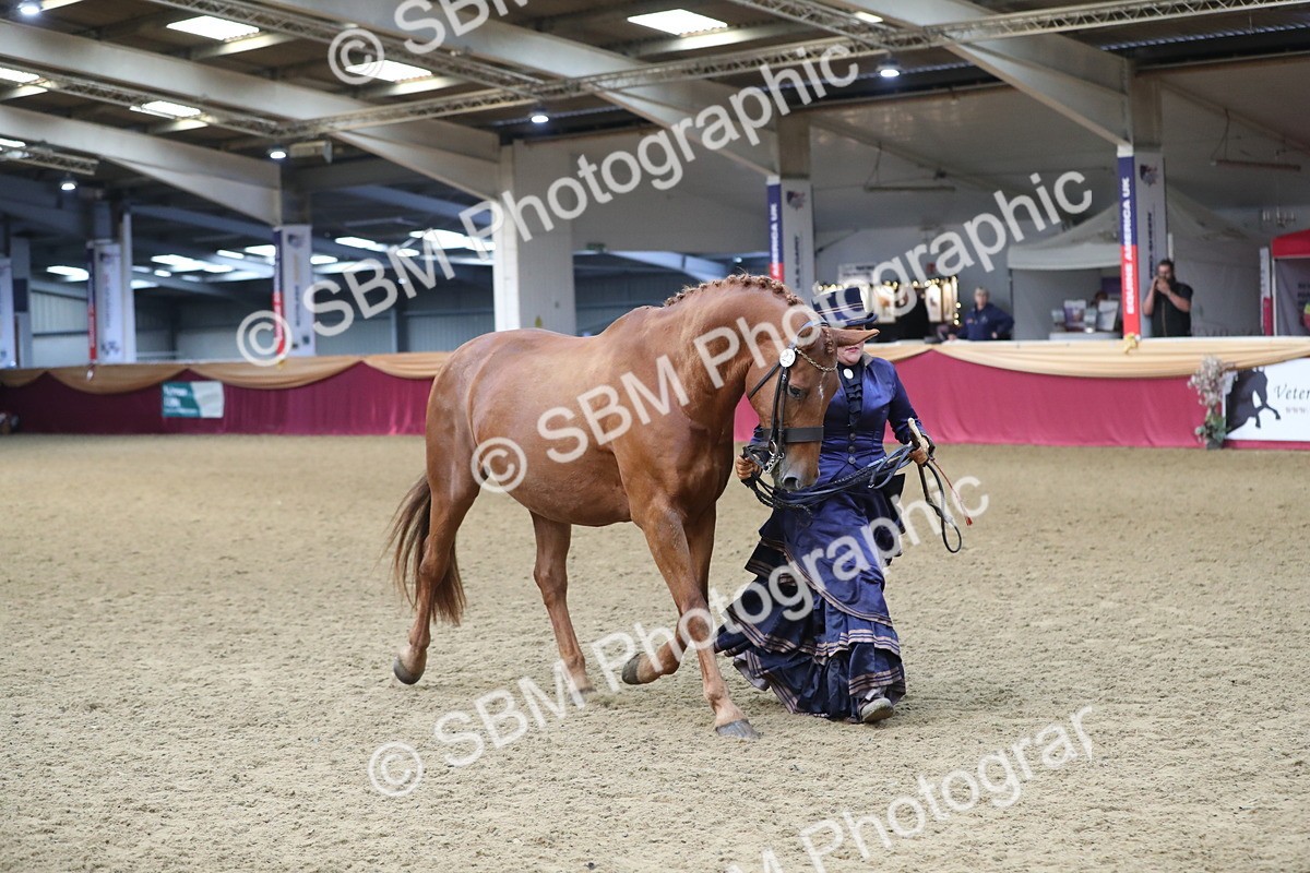 SBM_10802 - Class 103 IH Costume