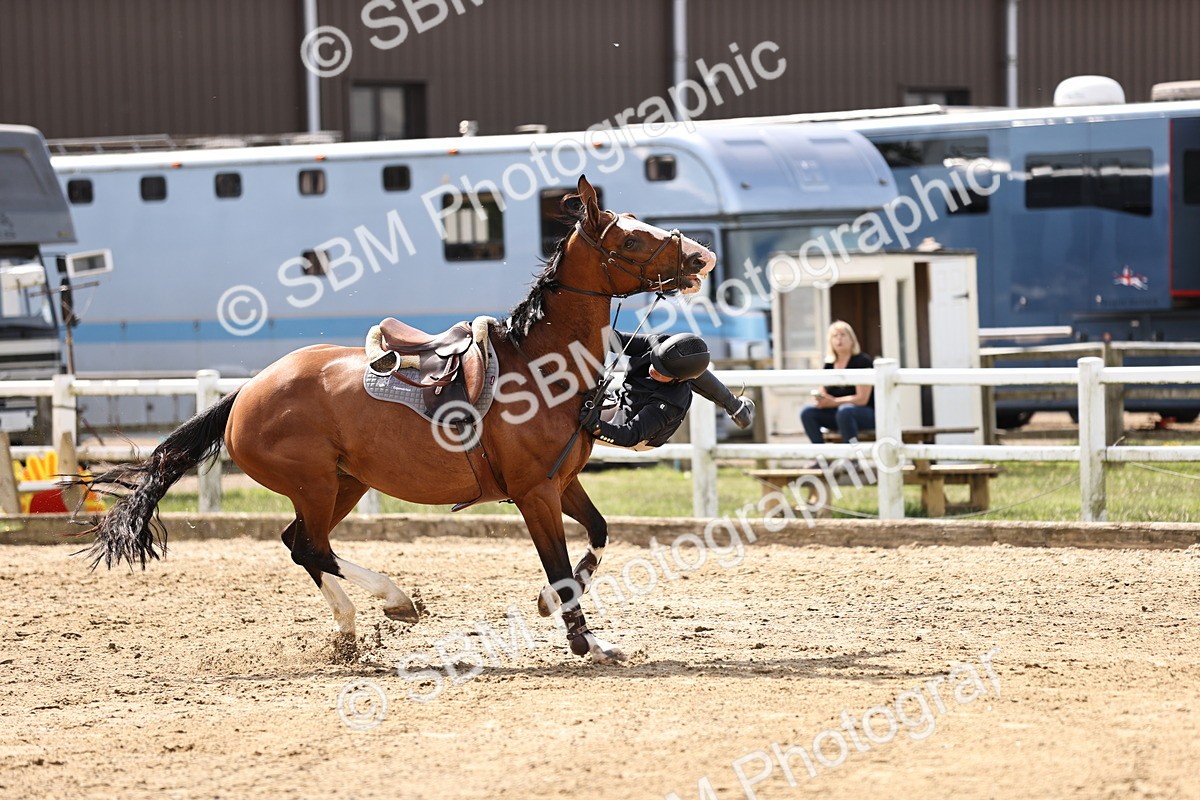 SBM_002036 - Class 9 - Senior British Novice - 90cm
