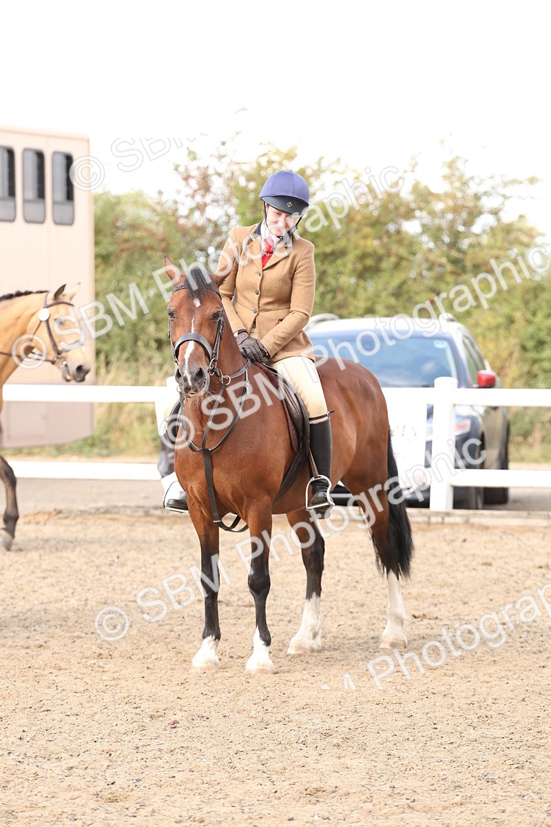 SBM_06801 - Class 58a -  Style & Performance - 70cm (15-19)