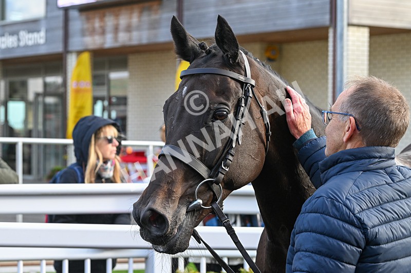 021024-Race 6-Redrosezorro-9705 - Race 6