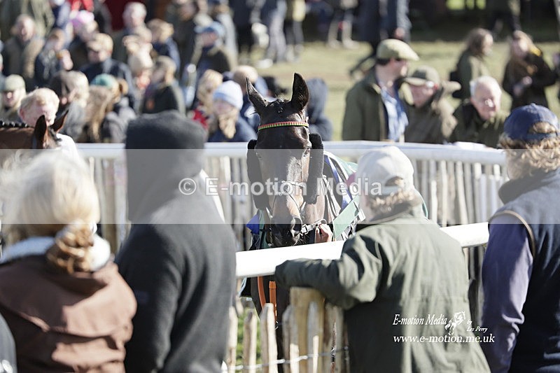 PtP 100423 981 - Old Berkshire Point-to-Point Lockinge 10/04/23