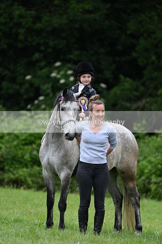 WJ7_4269 - Class 14A Handsome Gelding