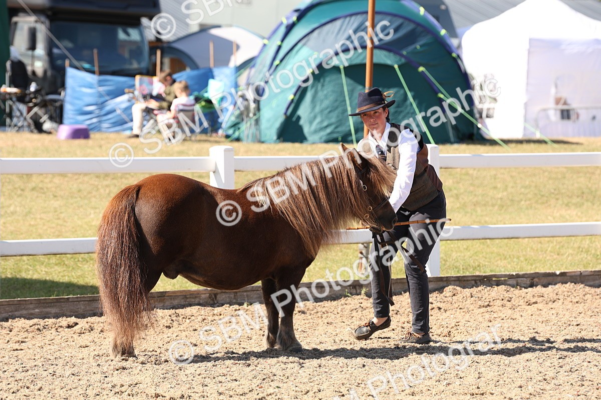 SBM_13919 - Class 205 - IH Show Pony - Show Hunter Pony