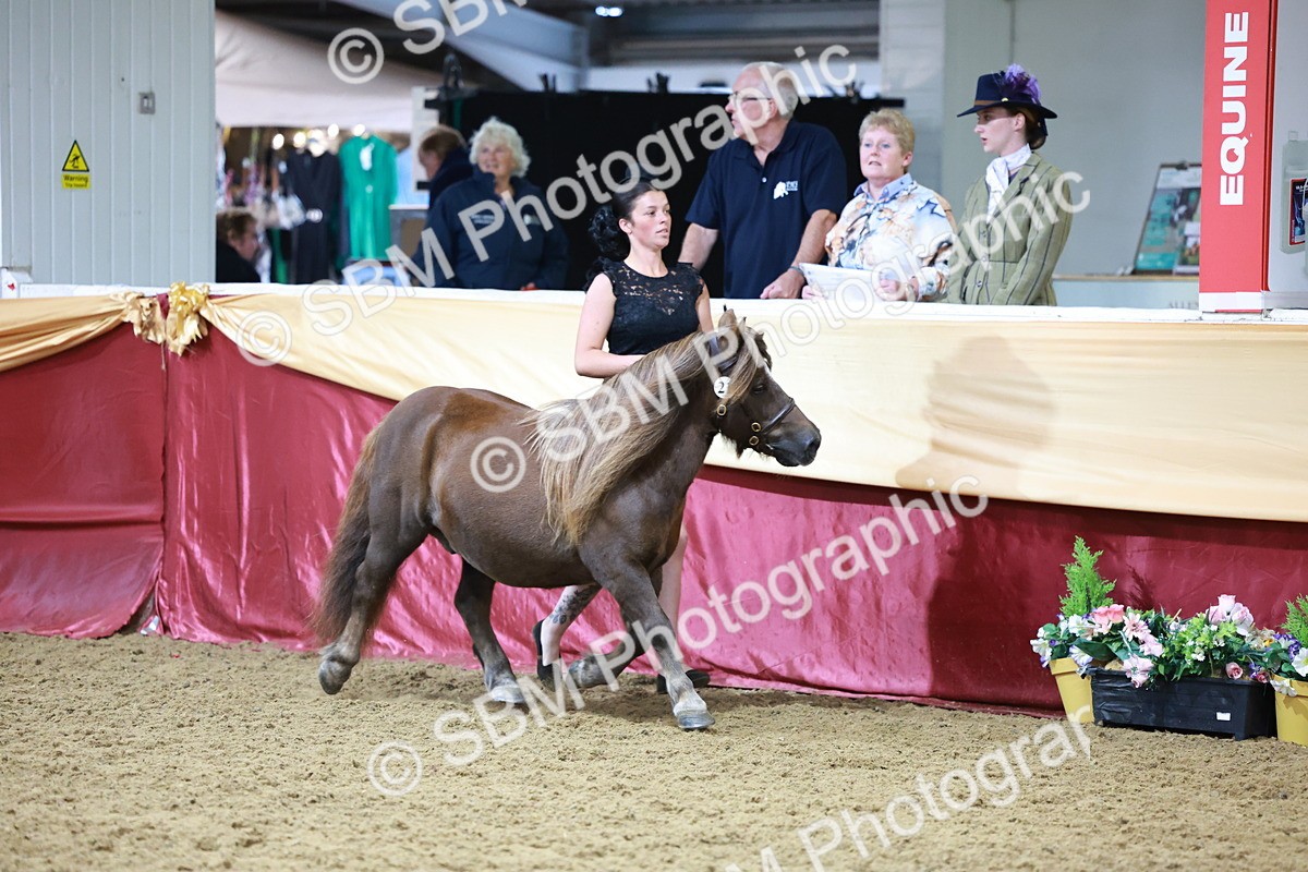 SBM_20080 - Class C - Novalty Champ