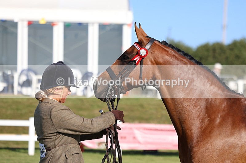 3E7A5112 - Class 1: Rising Star Small Hack/Riding Horses