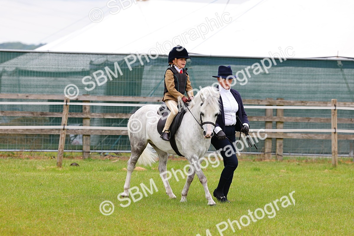 SBM_08141 - Class 42-43 - LIHS BSPS Heritage Working Sports Pony