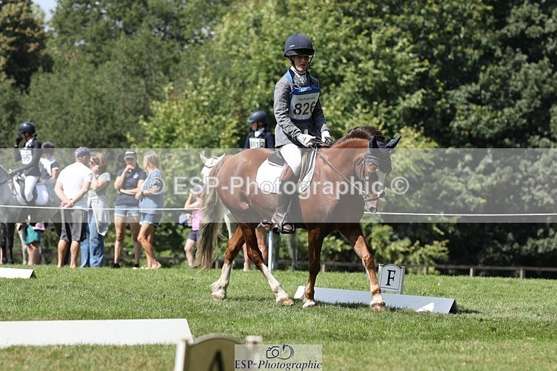 250823A-134107-31347 - Arena D