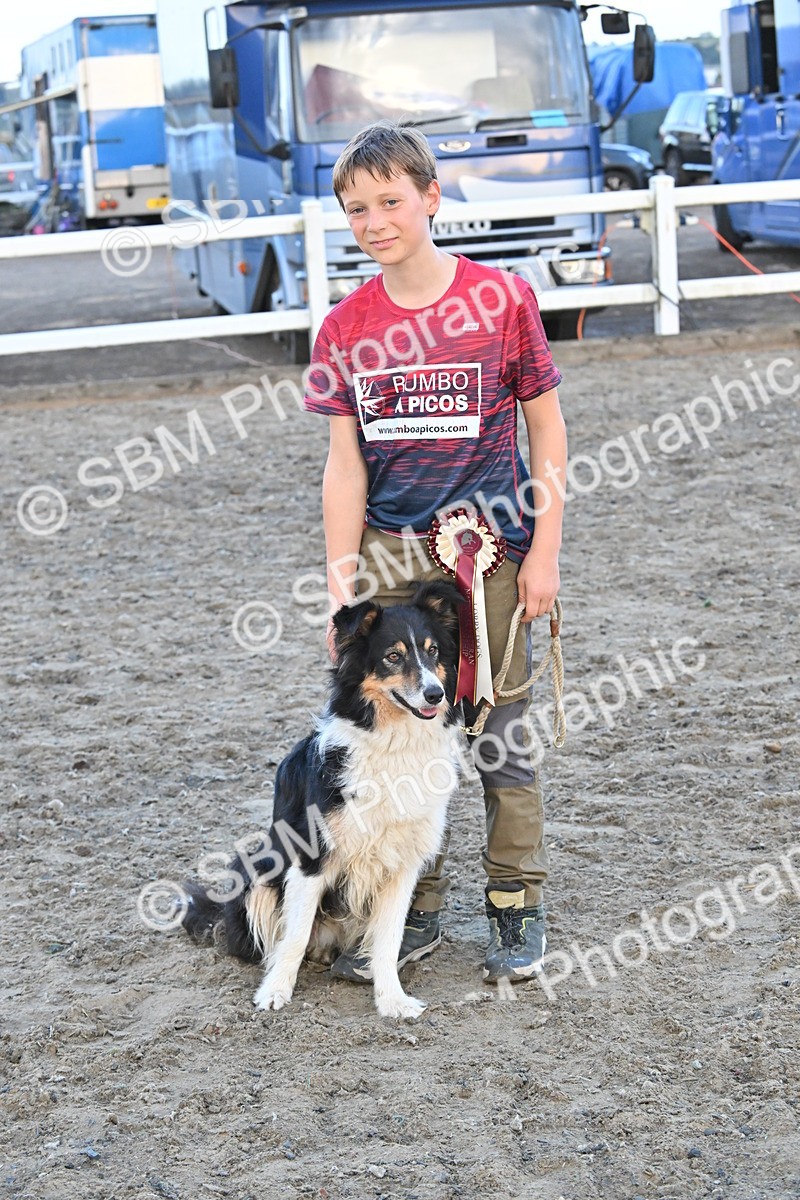 SBM_09577 - Lorry Dogs