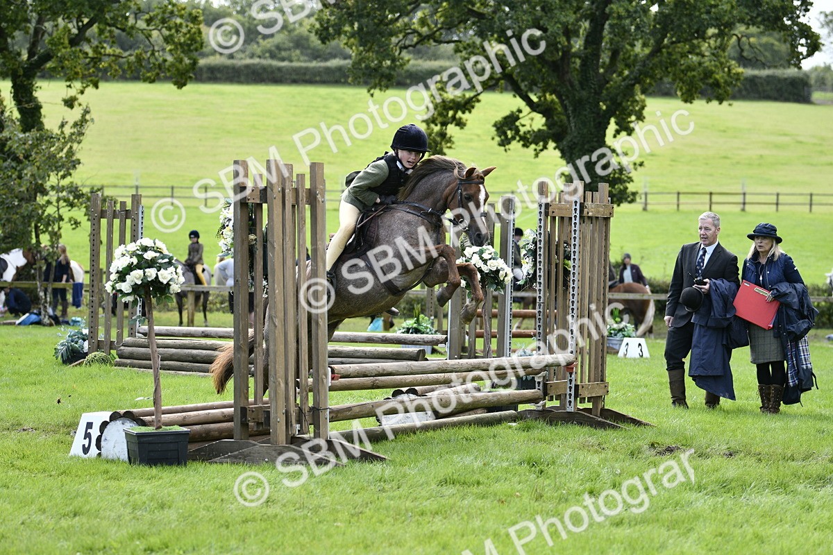 SBM_41253 - S32 - Mountain & Moorland Working Hunter Pony