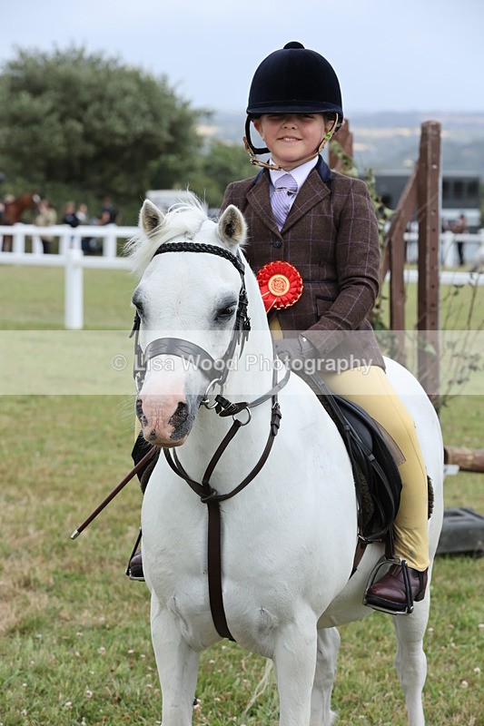 JPP_1979 - Class 18: Tiny Tots Working Hunter Pony