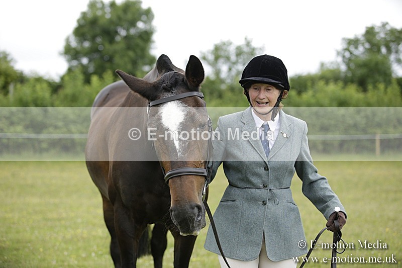 BVR160717-707 - Ring 2 BVRC Show 16/07/17