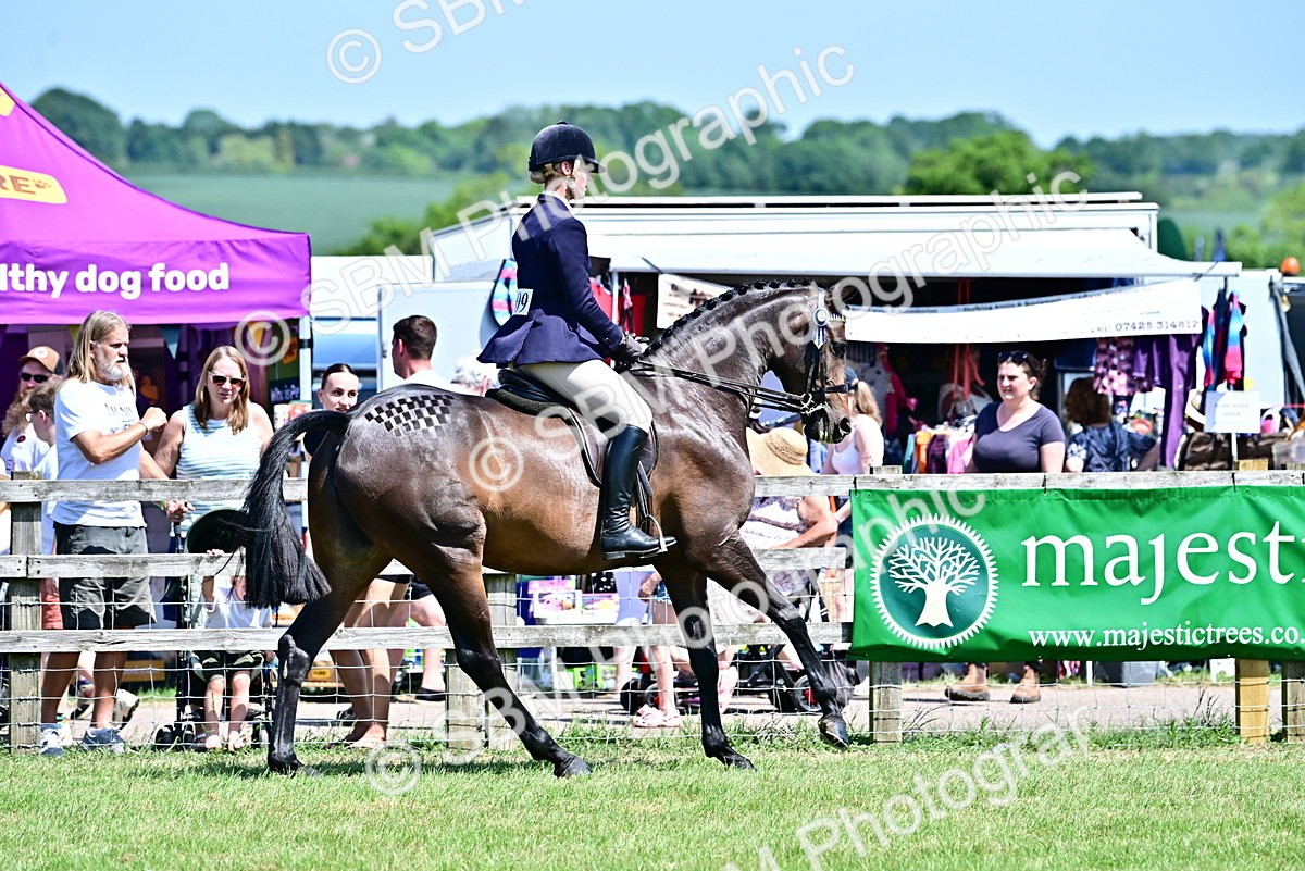 SBM_17505 - Class 95-97 - BSPS LHS Performance Ponies
