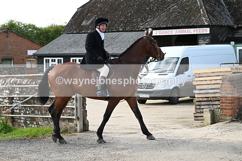 WJ7_9966 - Walk Home