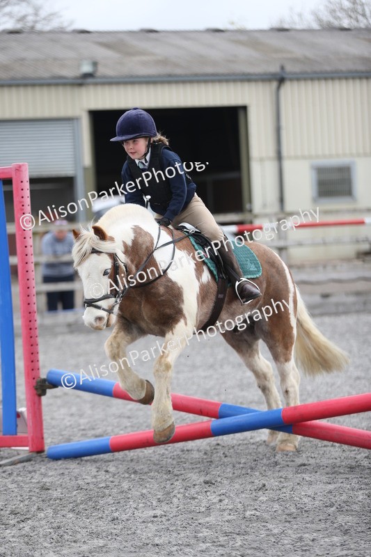 20260412-0159 - Show Jumping
