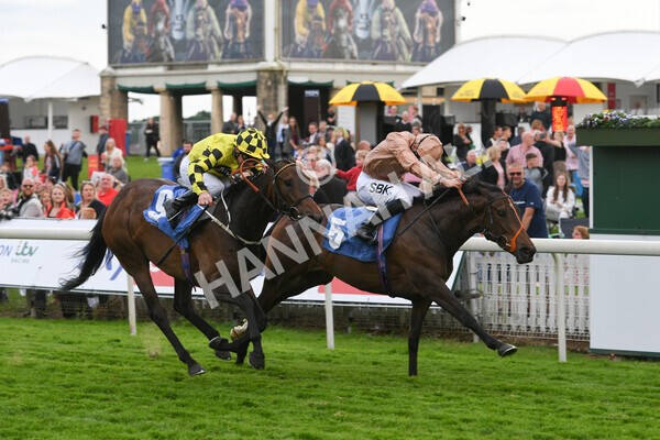 yr22052022r7-21 - Race 7: 6:40pm Sky Bet Sunday Series Fillies' and Mares Stakes