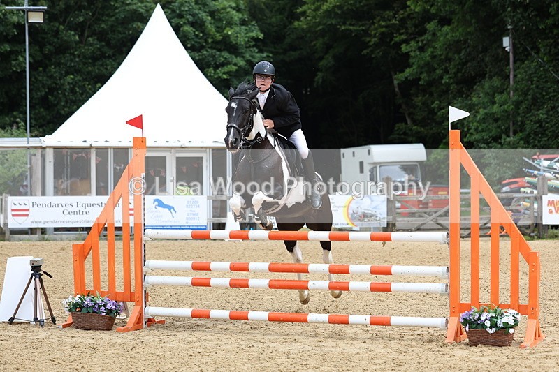 3E7A6172 - Class 4: Senior British Novice/90cm open