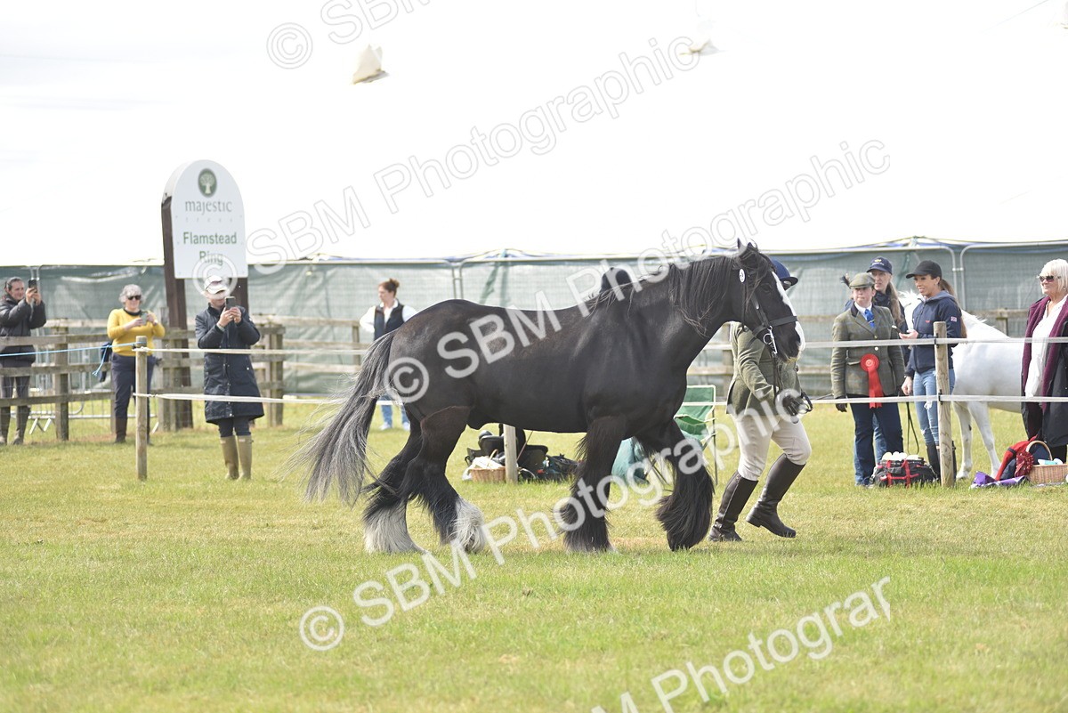 SBM_16077 - Class 117-122 - SSADL RIHS Qualifier