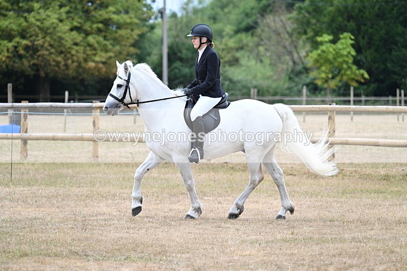 WJ7_0340 - Class 6 Ridden Mountain and Moorland