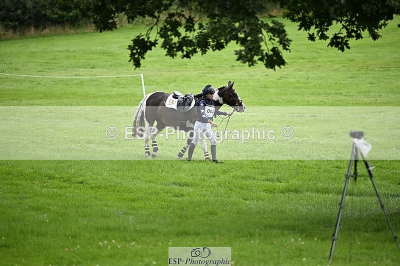 240803-103736-01640 - 004-Bethy_Naylor-Davis-ROCK_MELODY