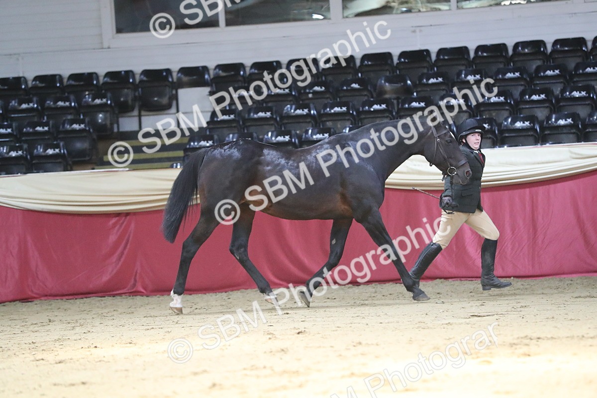 SBM_04366 - Class 7R Regional - IH Diamond