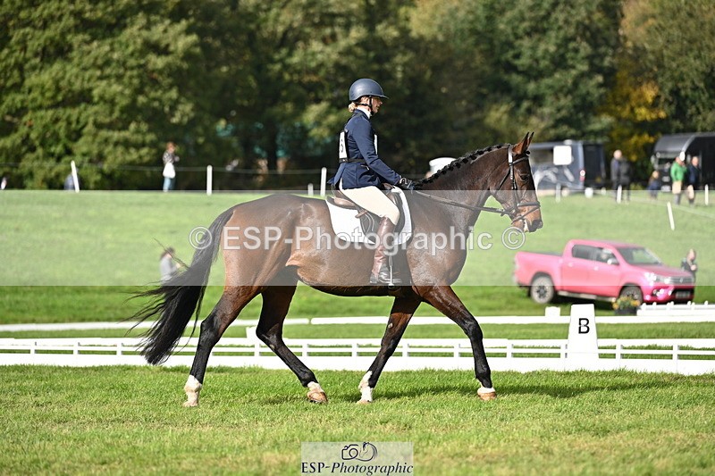 251024A-135007-12251 - D-366-Blythe.Jopling