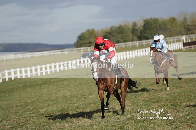 PtP 260223 1192 - South & West Wilts Point-to-Point Larkhill 26/02/23