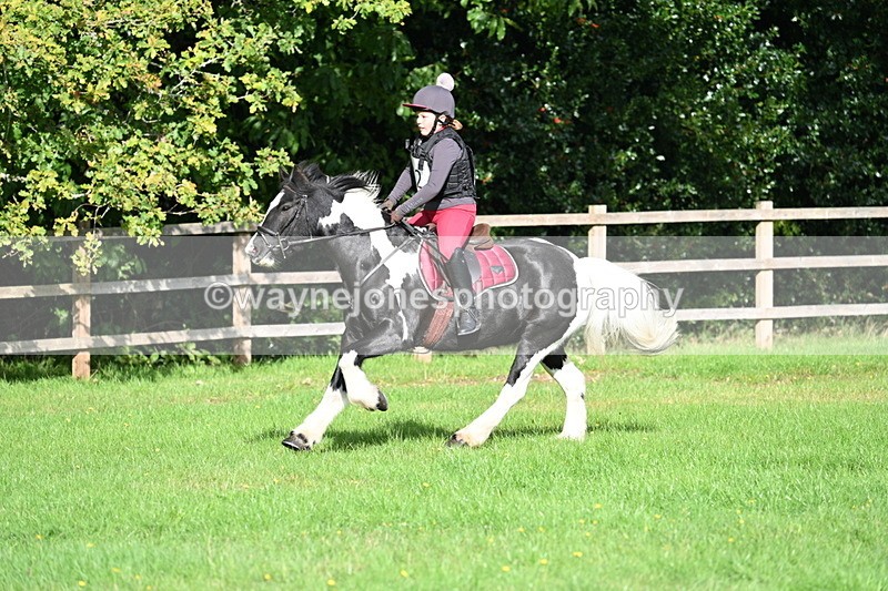 WJ7_3744 - 40cm Time 10:26 to 10:42