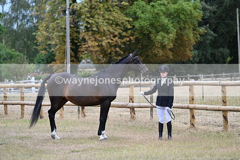WJ7_8975 - Class 4a Prettiest Mare 14.2hh and over
