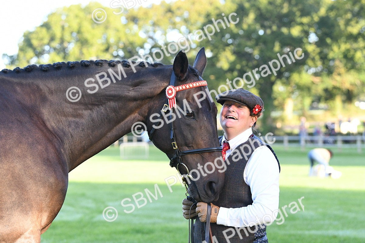 SBM_32747 - S15 - Condition & Turnout In Hand
