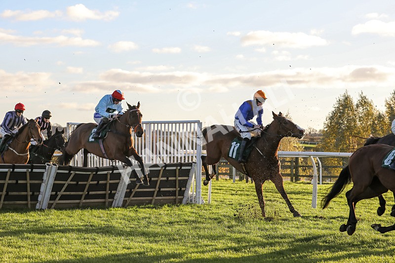 241123-Race 5-Bugise Seagull-1208 - Race 5