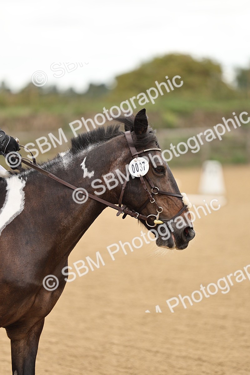 SBM_002087 - Intro 1-2