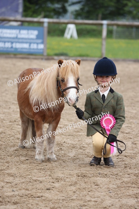 20260504-0550 - Class 4 - Minitures and Shetlands