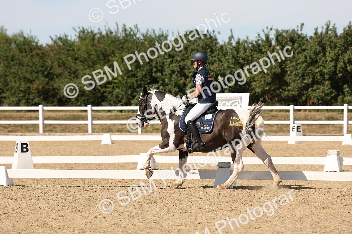 SBM_003695 - Elementary 4