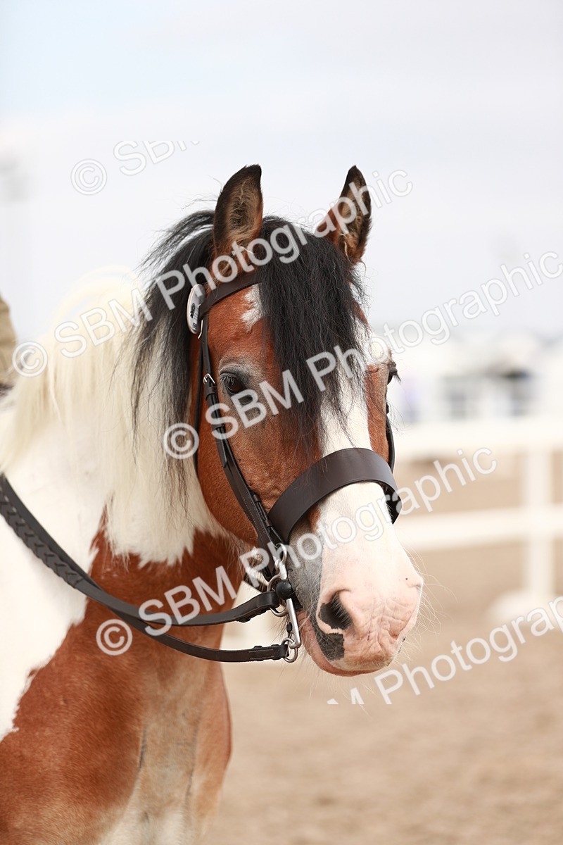 SBM_16711 - Class 214 Ridden Cob