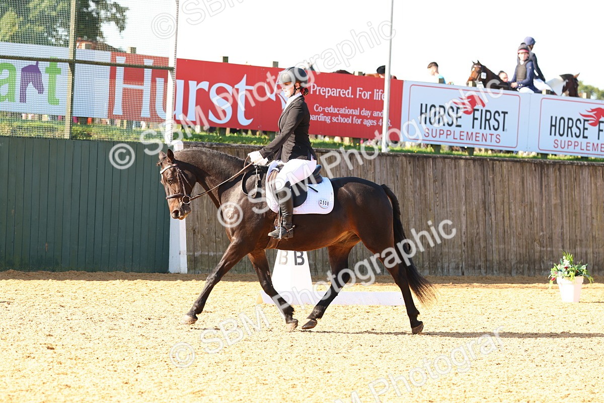 SBM_39781 - D18 - Grand Tour Championship - Novice 34