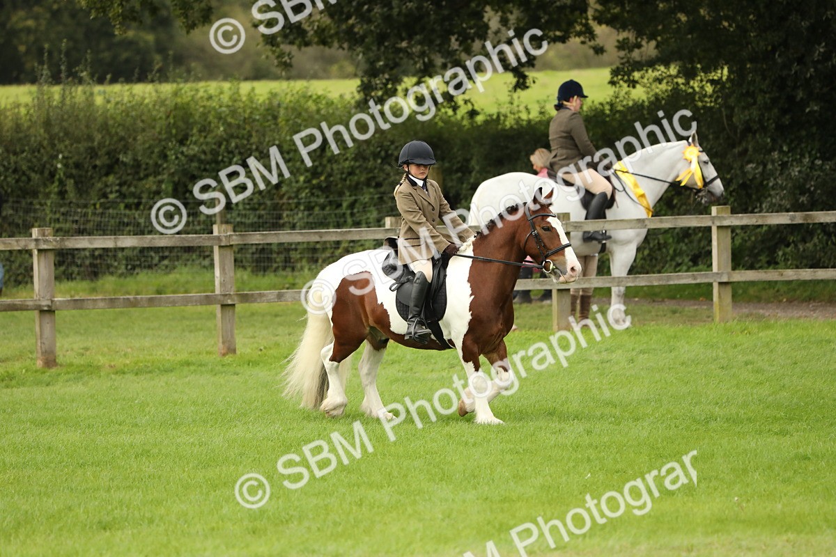 SBM_71703 - S41 - Ridden Equitation (Best Rider)