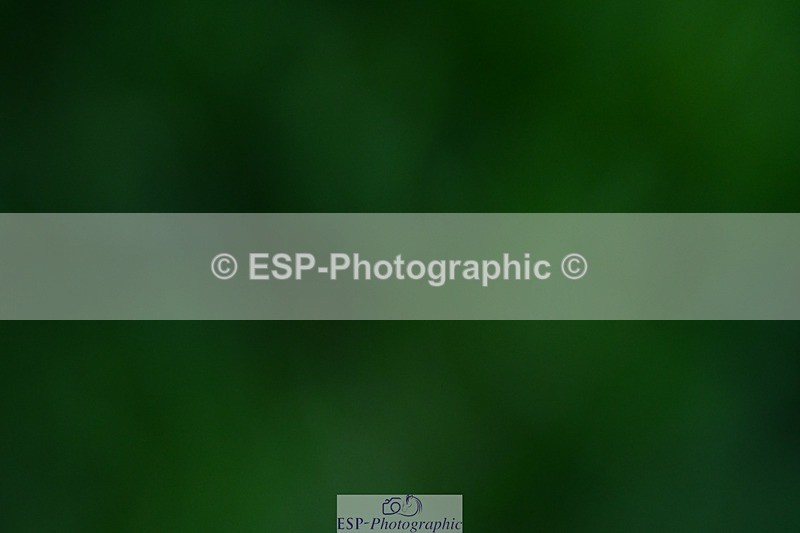 231110-110035-01158 - Cls 5 Elementary 43