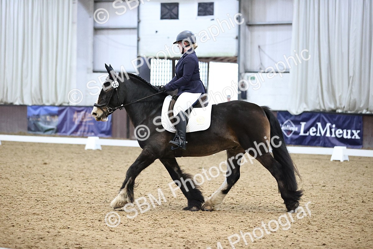 SBM_004304 - Intermediate