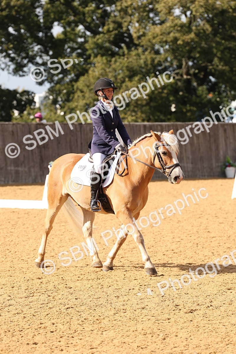 SBM_24631 - D17 - Grand Tour Championship Novice 3