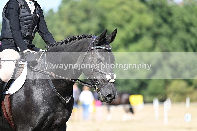 WJ7_9498 - Time 10:32 to 10:55