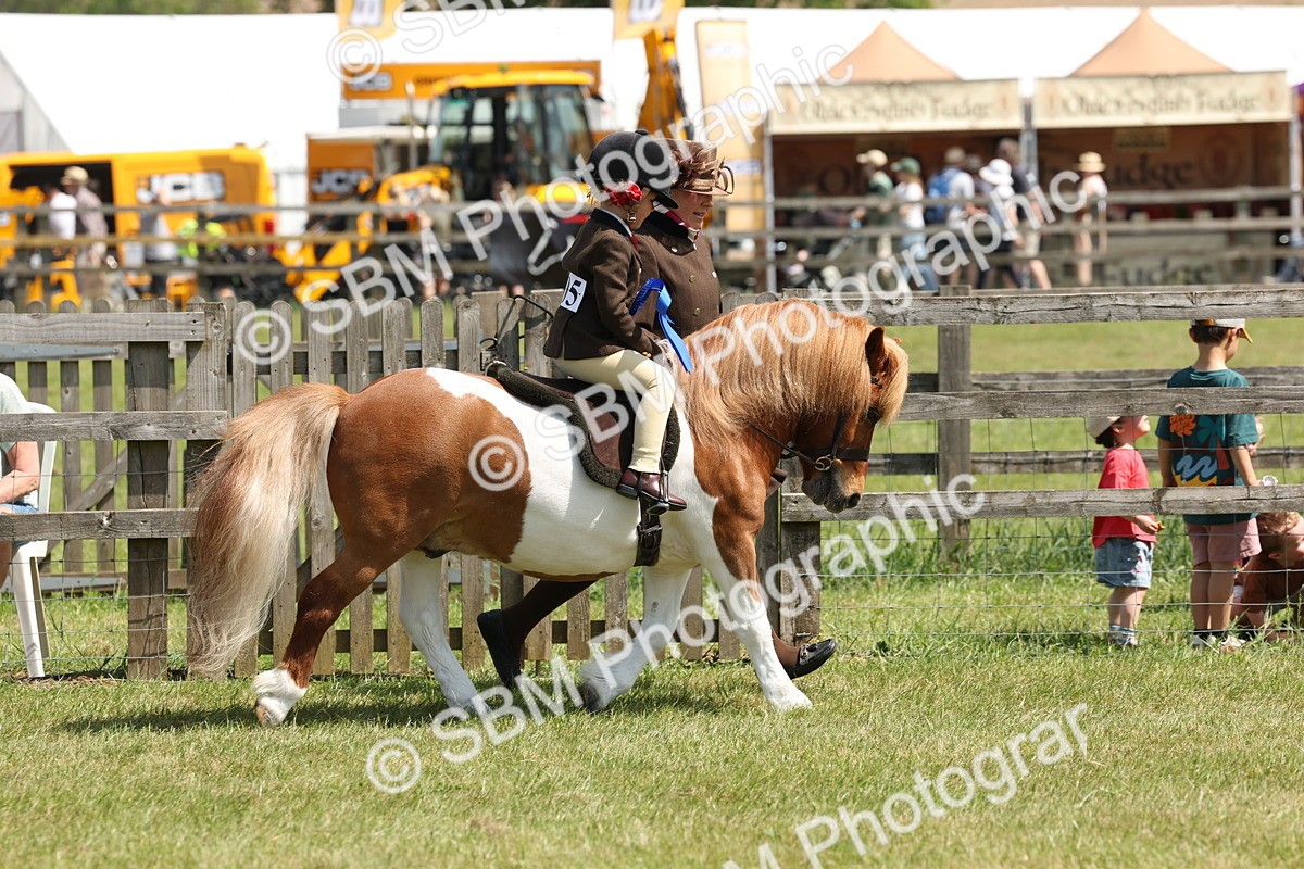 SBM_05404 - Class 24-25 - Mountain & Moorland In Hand Lead Rein and First Ridden