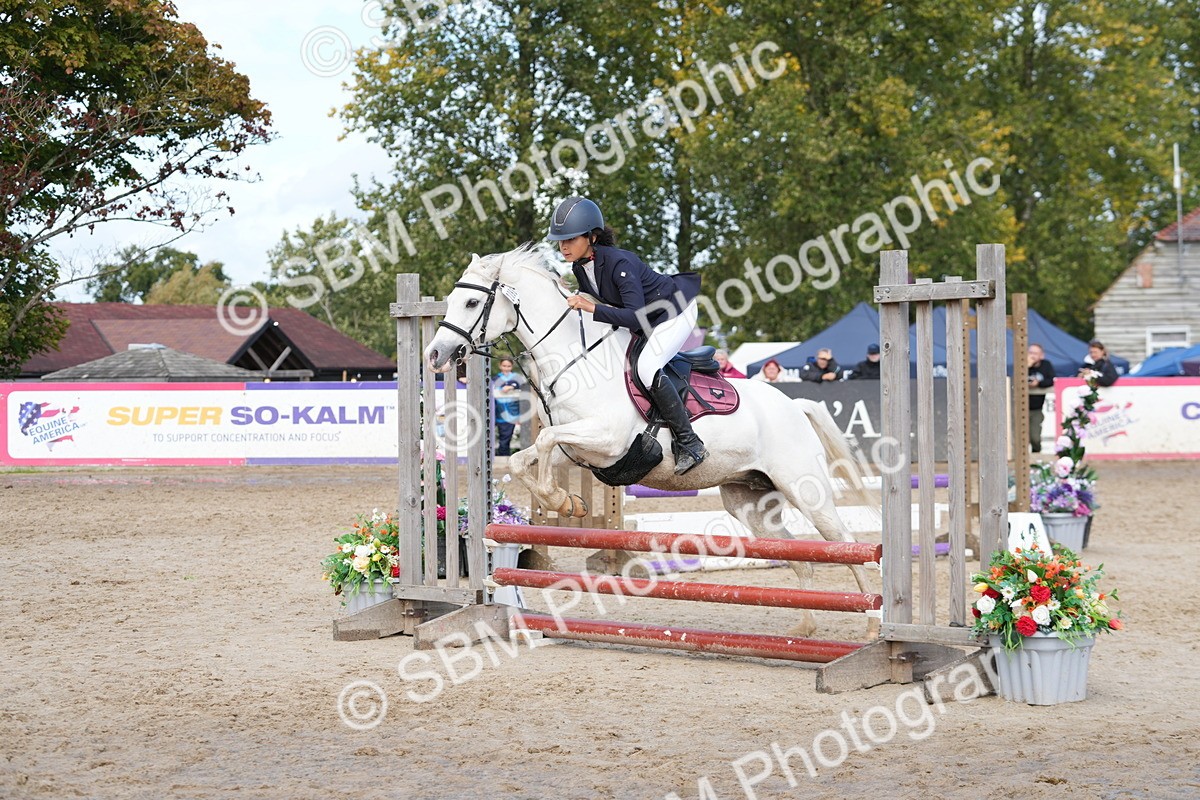 SBM_40808 - Supreme Championship Pony 50-55cm