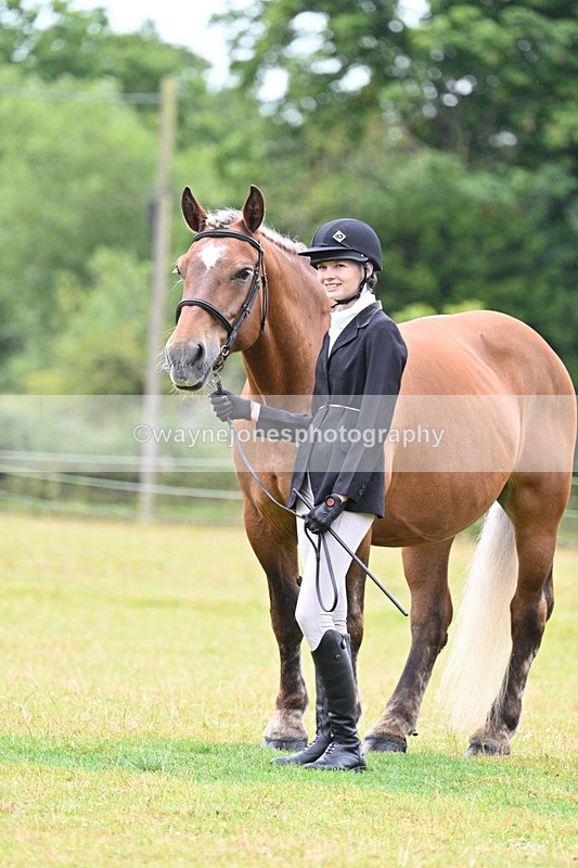 WJ7_6358 - Class 4a Prettiest Mare over 14hh