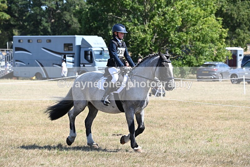 WJ6_8286 - Class 37a Best Loan Pony Ridden