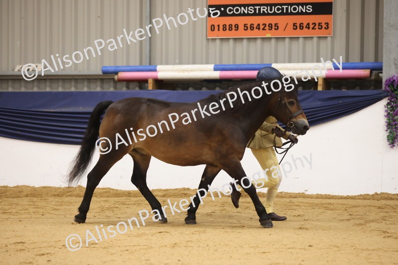 20260913-1102 - Class 110 - Bred In Other In Hand
