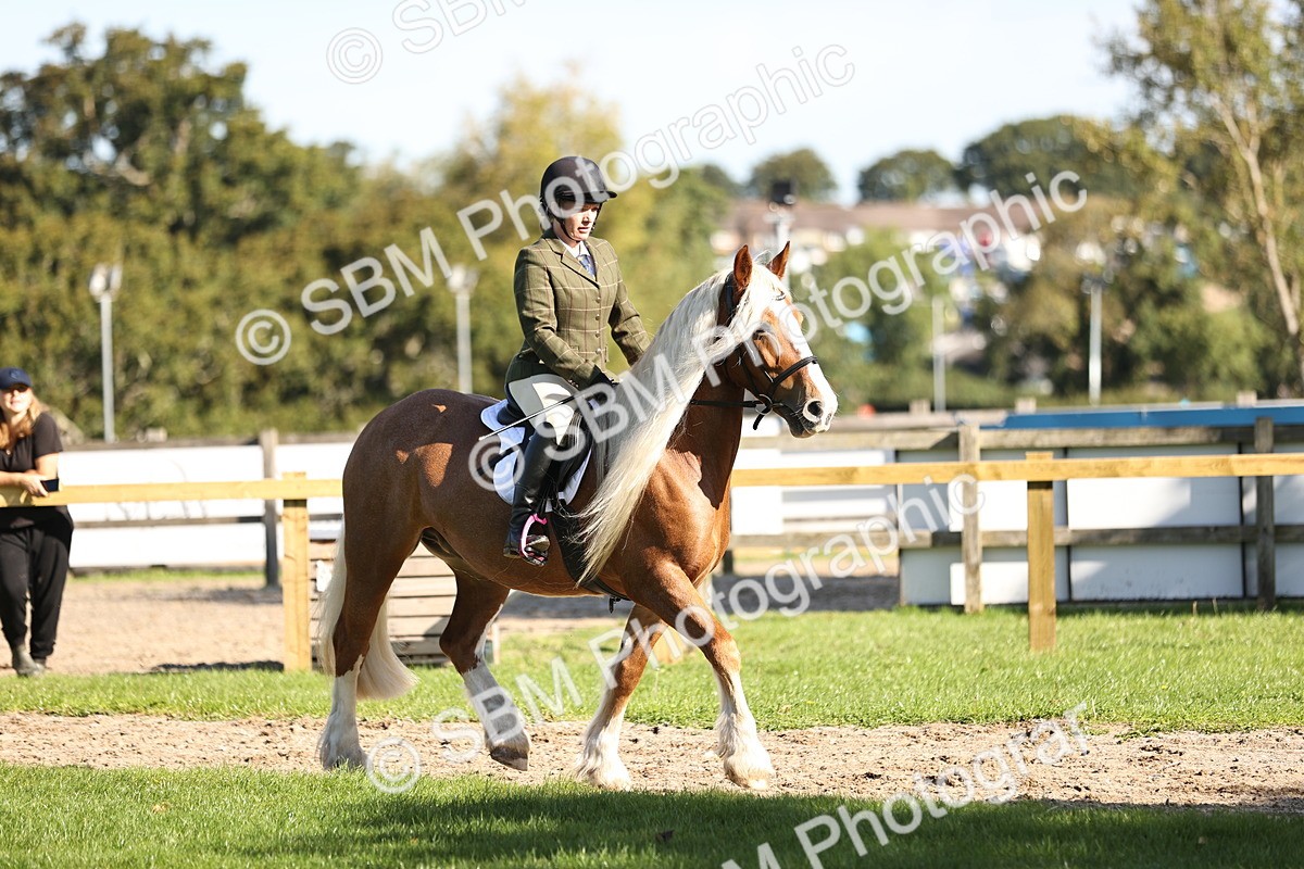 SBM_16902 - S2 - TSR Ridden Pony Showing