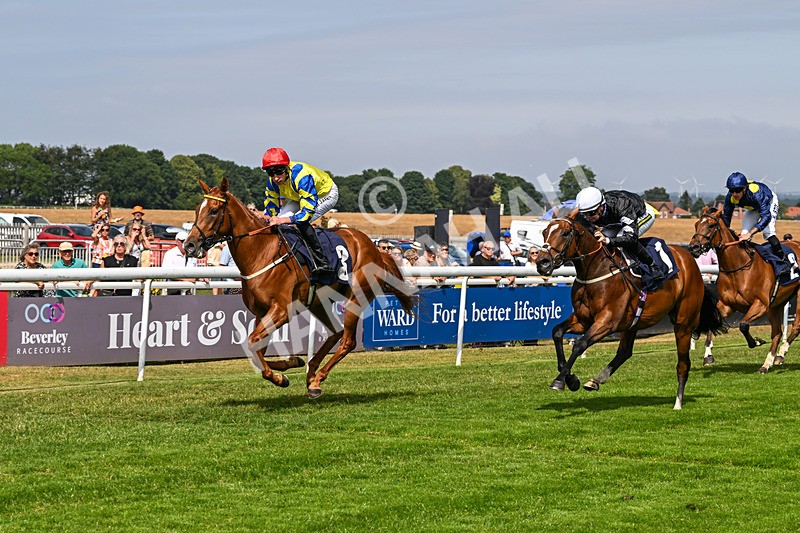 140726-Race 3-Pendella-0388 - Race 3 15.17pm Malcolm Greenslade Doncaster LVA Stalwart Memorial Handicap