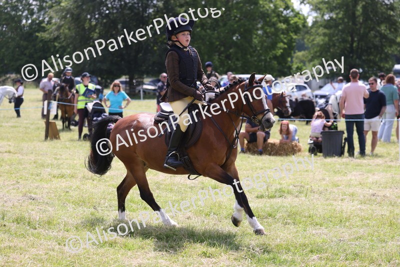 20260614-1763 - Class 21 - Novice Working Hunter Pony